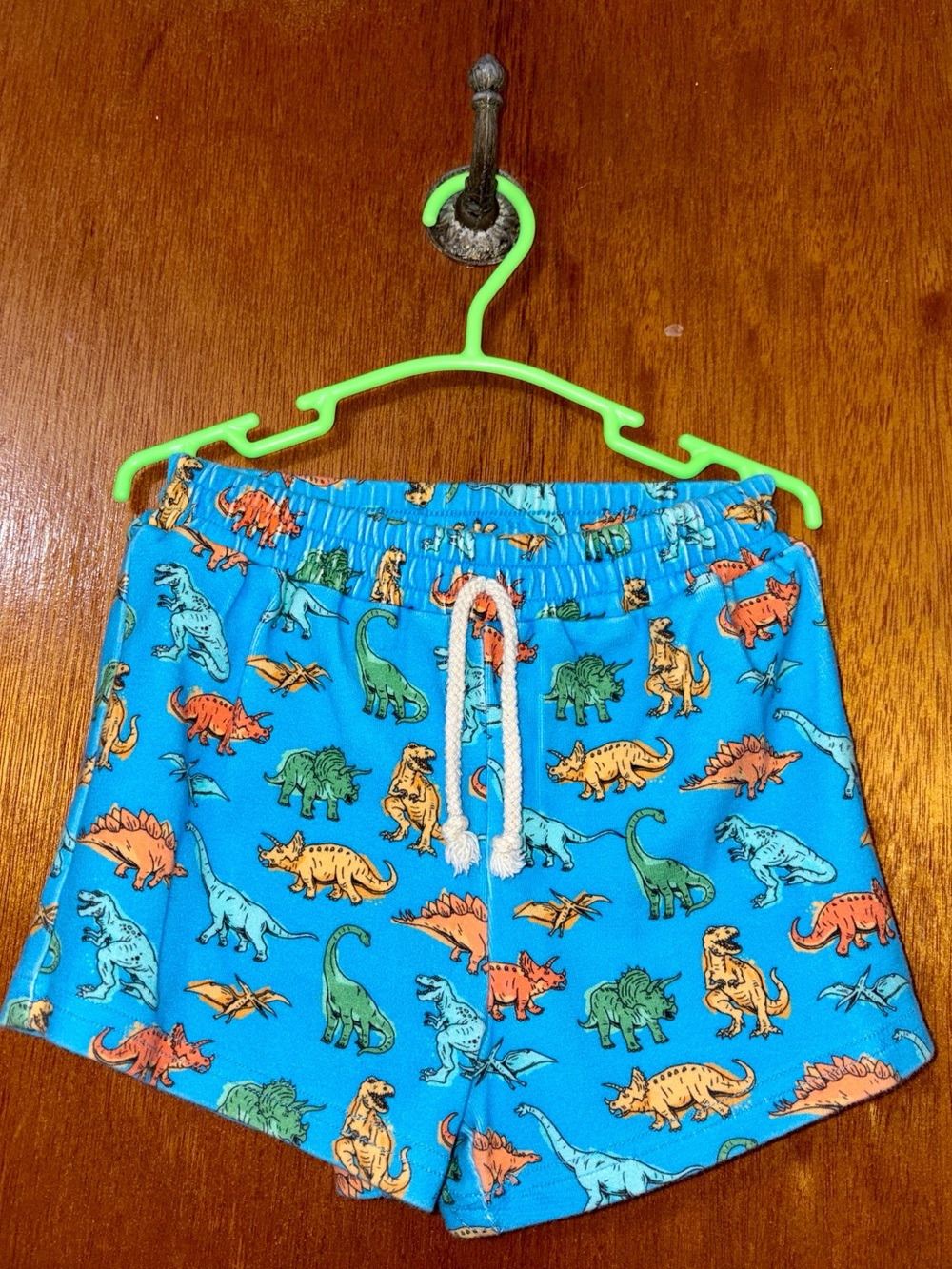 Little One Shop Dinosaur Lounge Shorts